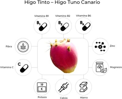 HIGO TINTO - Polvo de Tuno Canario - Imagen 3