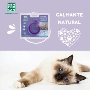 Collar calmante para gatos