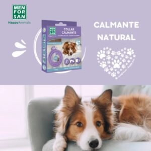 Collar calmante para perros